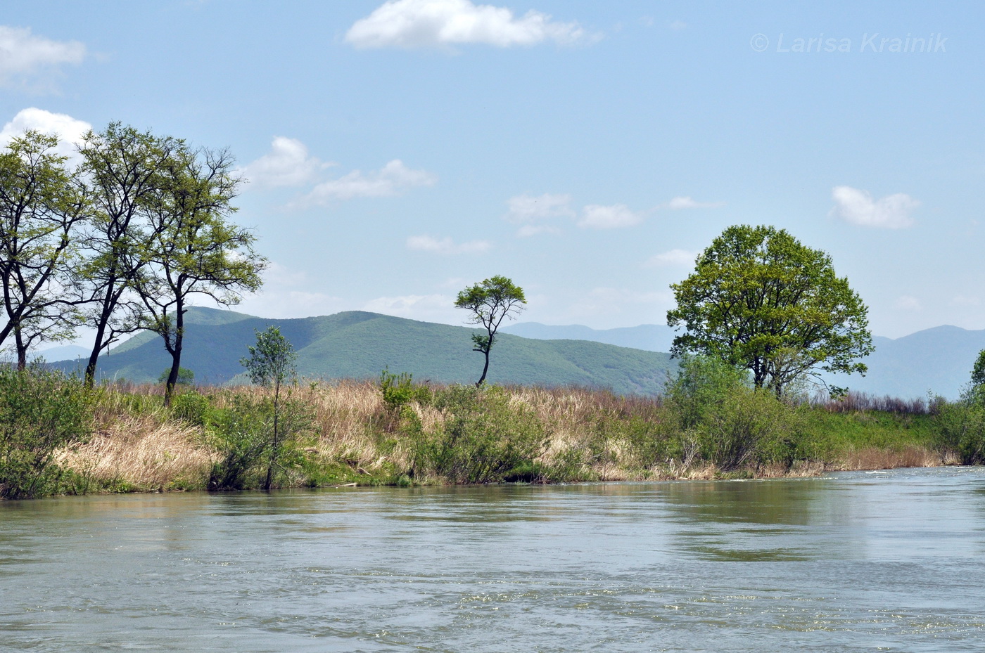 Урочище Щёки (Дарданеллы), image of landscape/habitat.