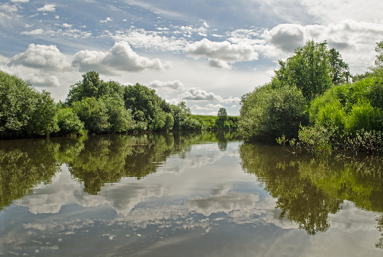 Окрестности села Вознесенское, image of landscape/habitat.