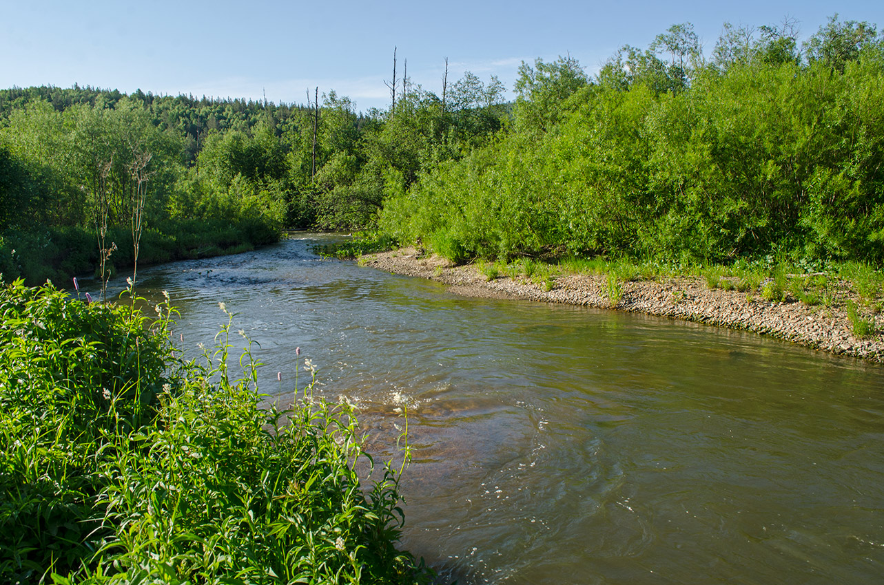 Долина реки Первая, image of landscape/habitat.