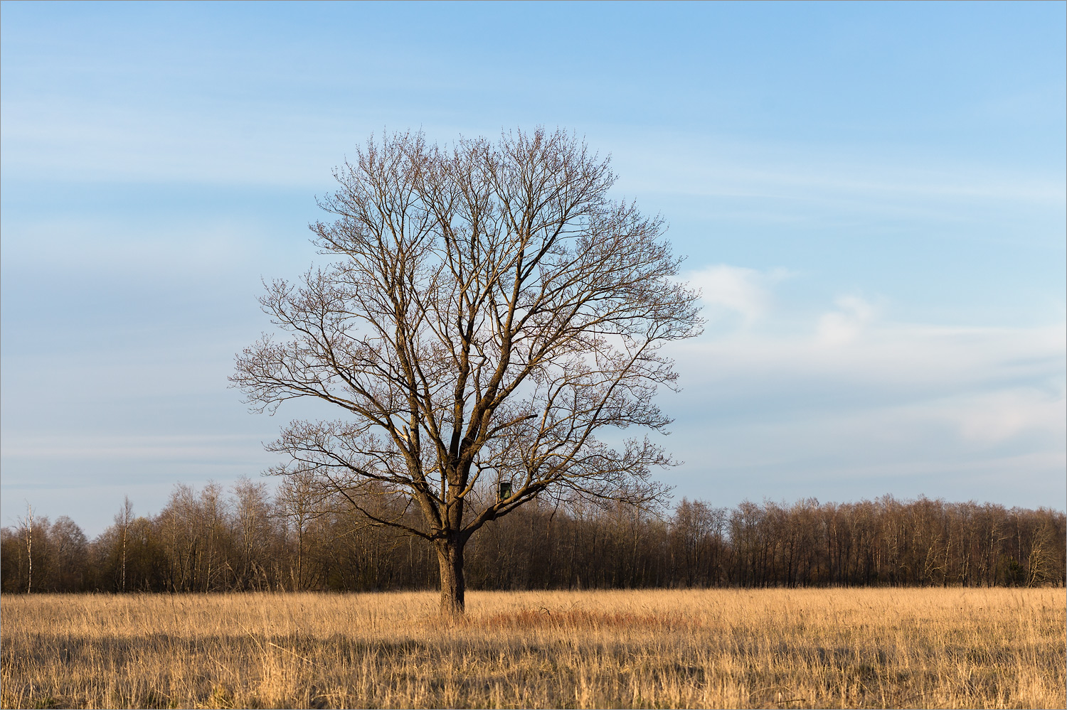 Нижняя Луга, image of landscape/habitat.