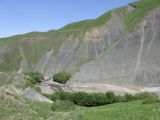 Изображение ландшафта