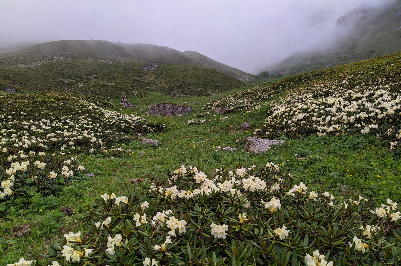 Долина реки Садон, image of landscape/habitat.