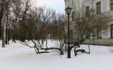 Центральный р-н Санкт-Петербурга, image of landscape/habitat.