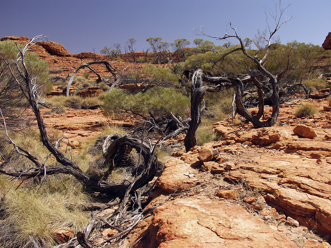 Kings Canyon, изображение ландшафта.