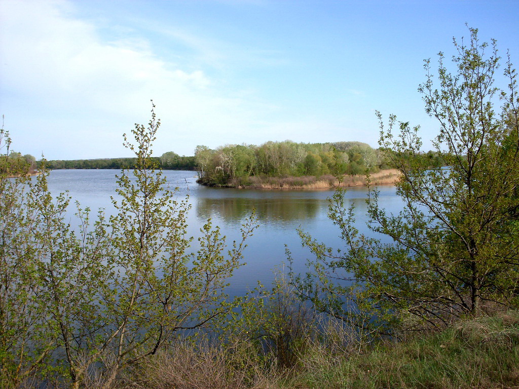 Заказник "Нижне-Кундрюченский", изображение ландшафта.