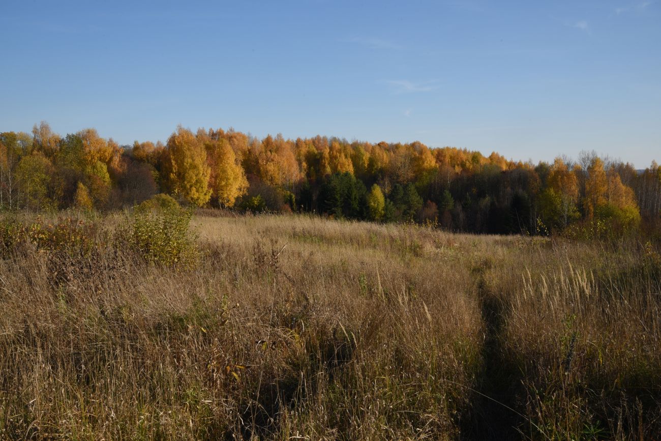 Чмутово и окрестности, image of landscape/habitat.