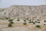 Image of landscape