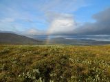 Ручей Озёрный, image of landscape/habitat.