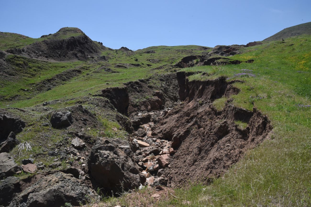 Урочище Ноев Ковчег, image of landscape/habitat.