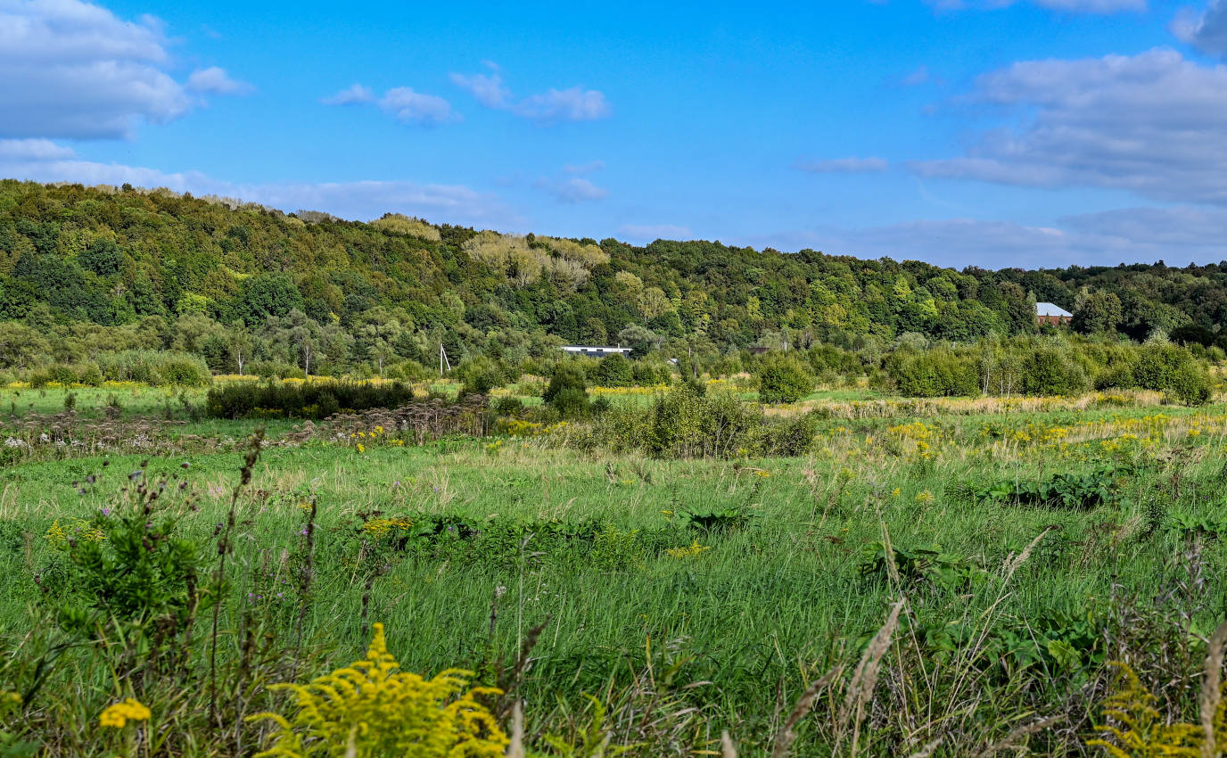 Дворяниново и окрестности, image of landscape/habitat.
