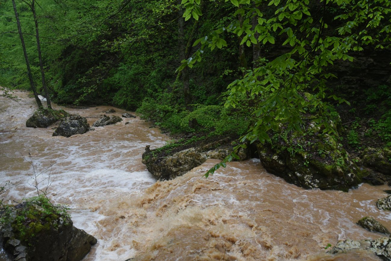 Водопад Шум, image of landscape/habitat.