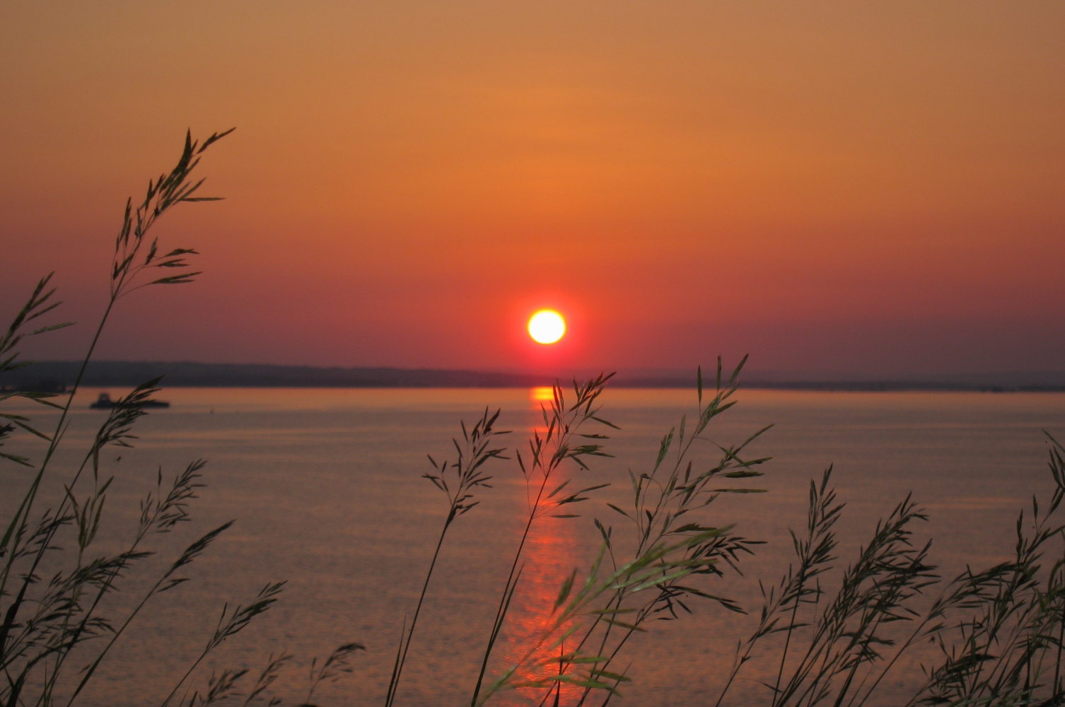 Речное, image of landscape/habitat.