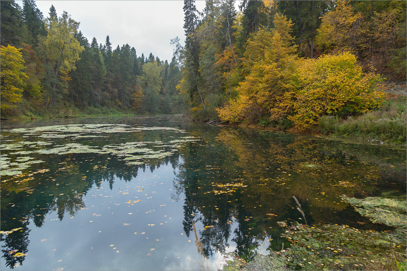 Лопухинка, image of landscape/habitat.