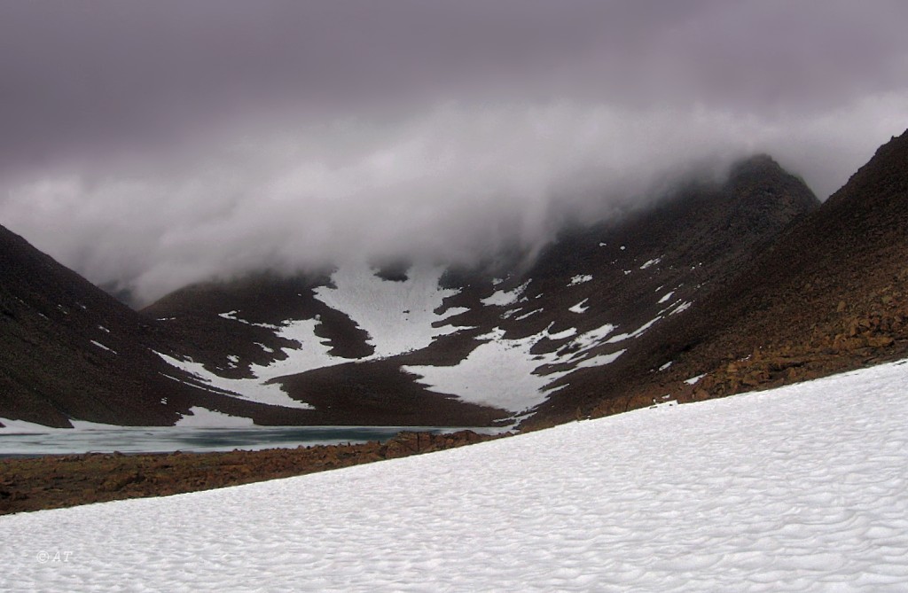 Пайер, image of landscape/habitat.