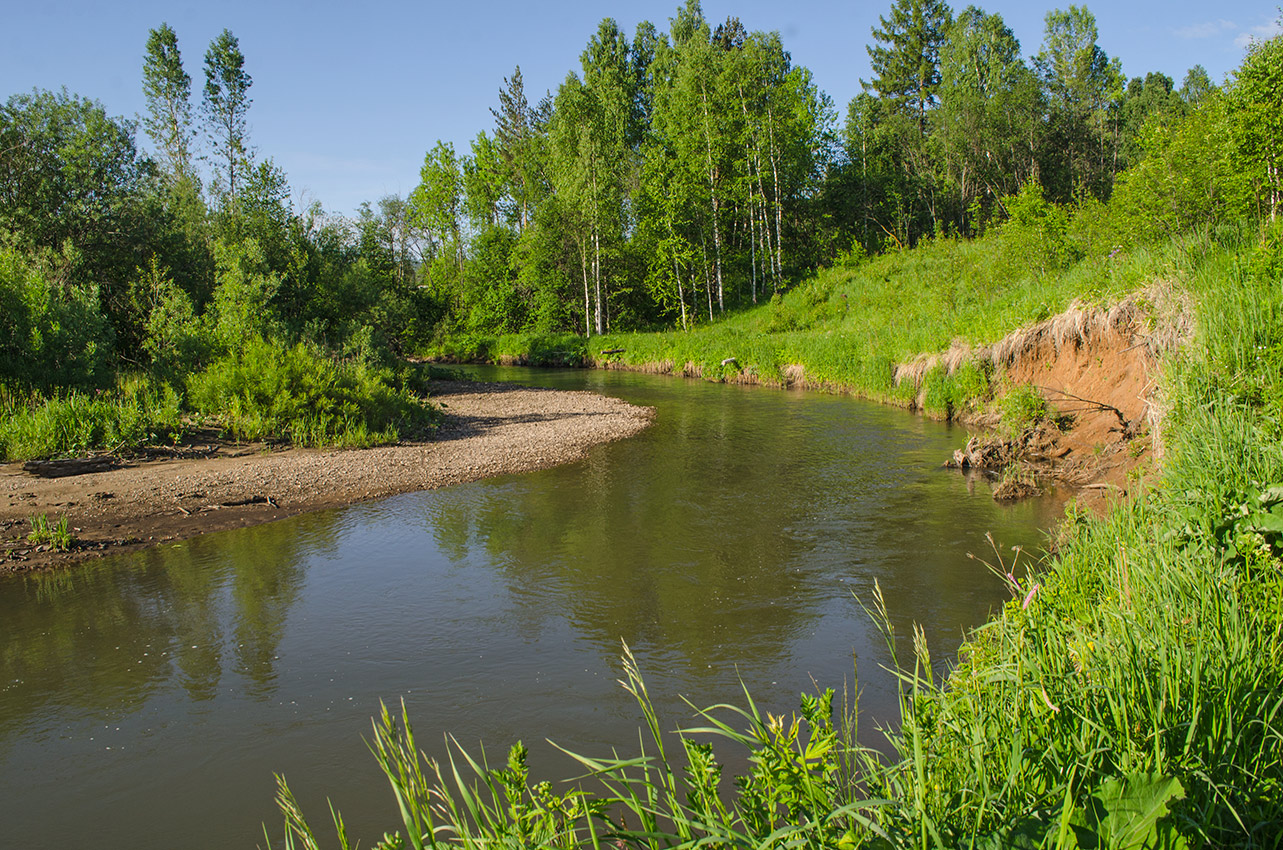 Долина реки Первая, image of landscape/habitat.