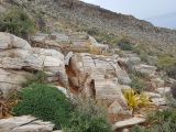 Image of landscape