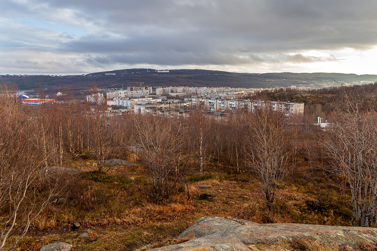 Горелая сопка, image of landscape/habitat.