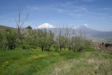 Image of landscape