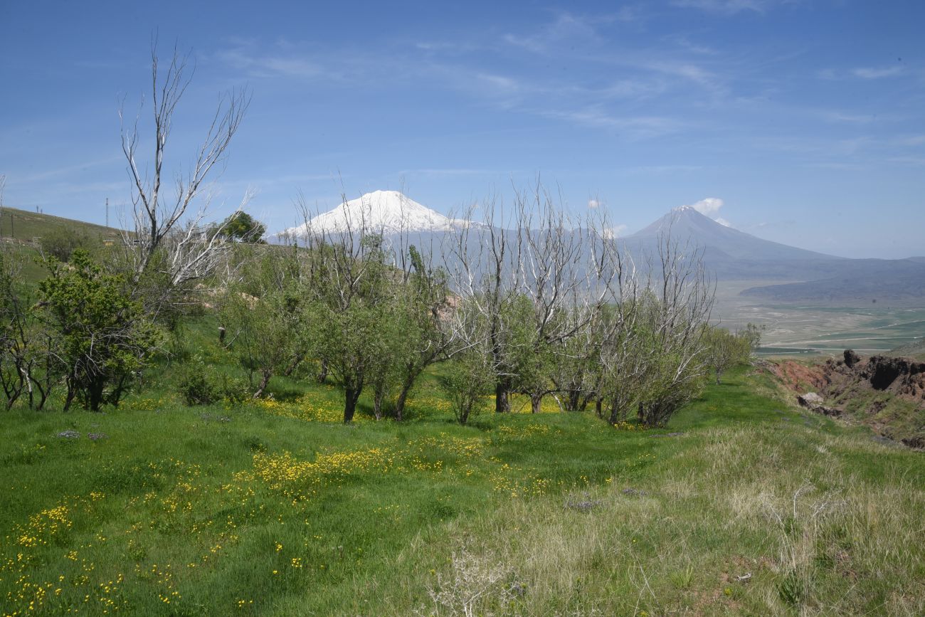 Урочище Ноев Ковчег, image of landscape/habitat.