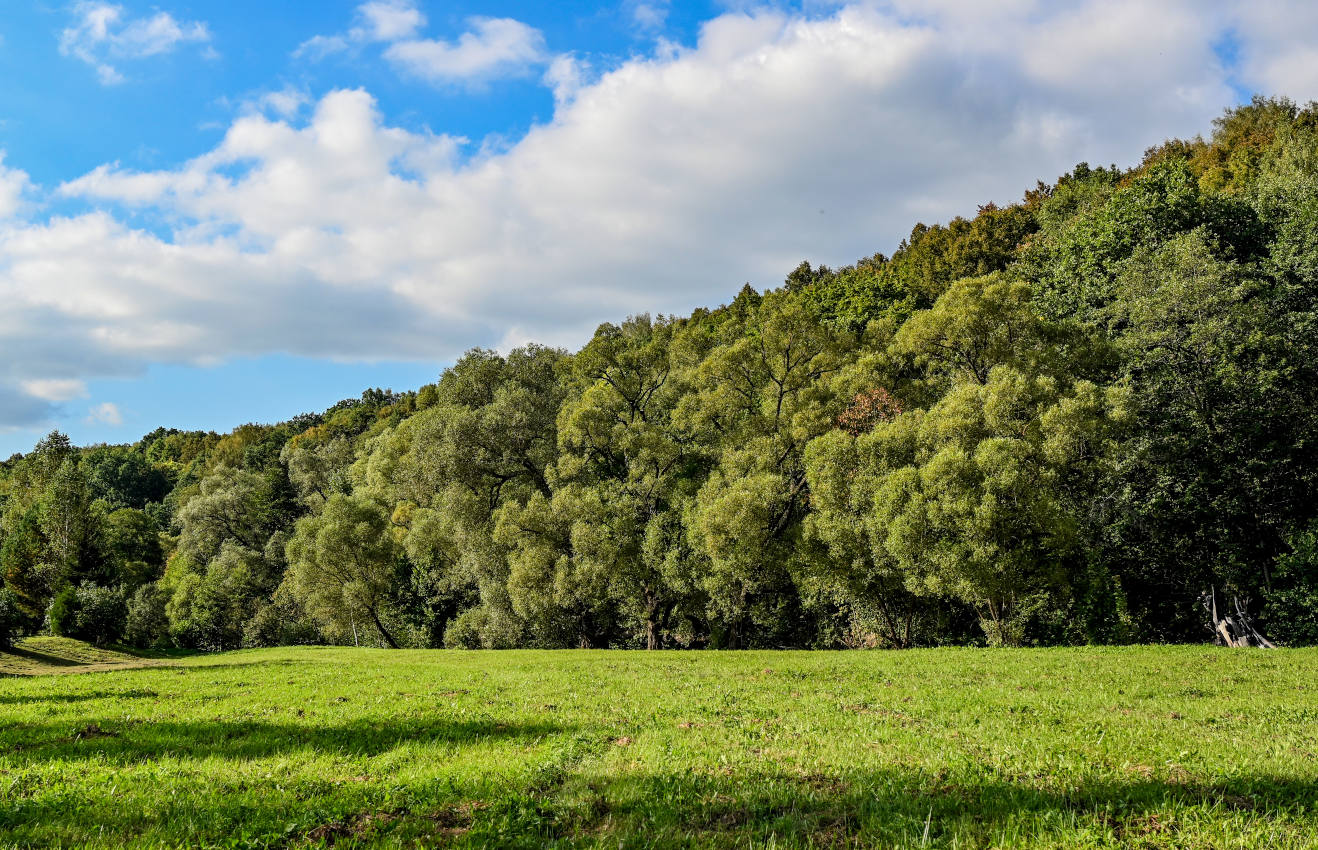 Дворяниново и окрестности, image of landscape/habitat.