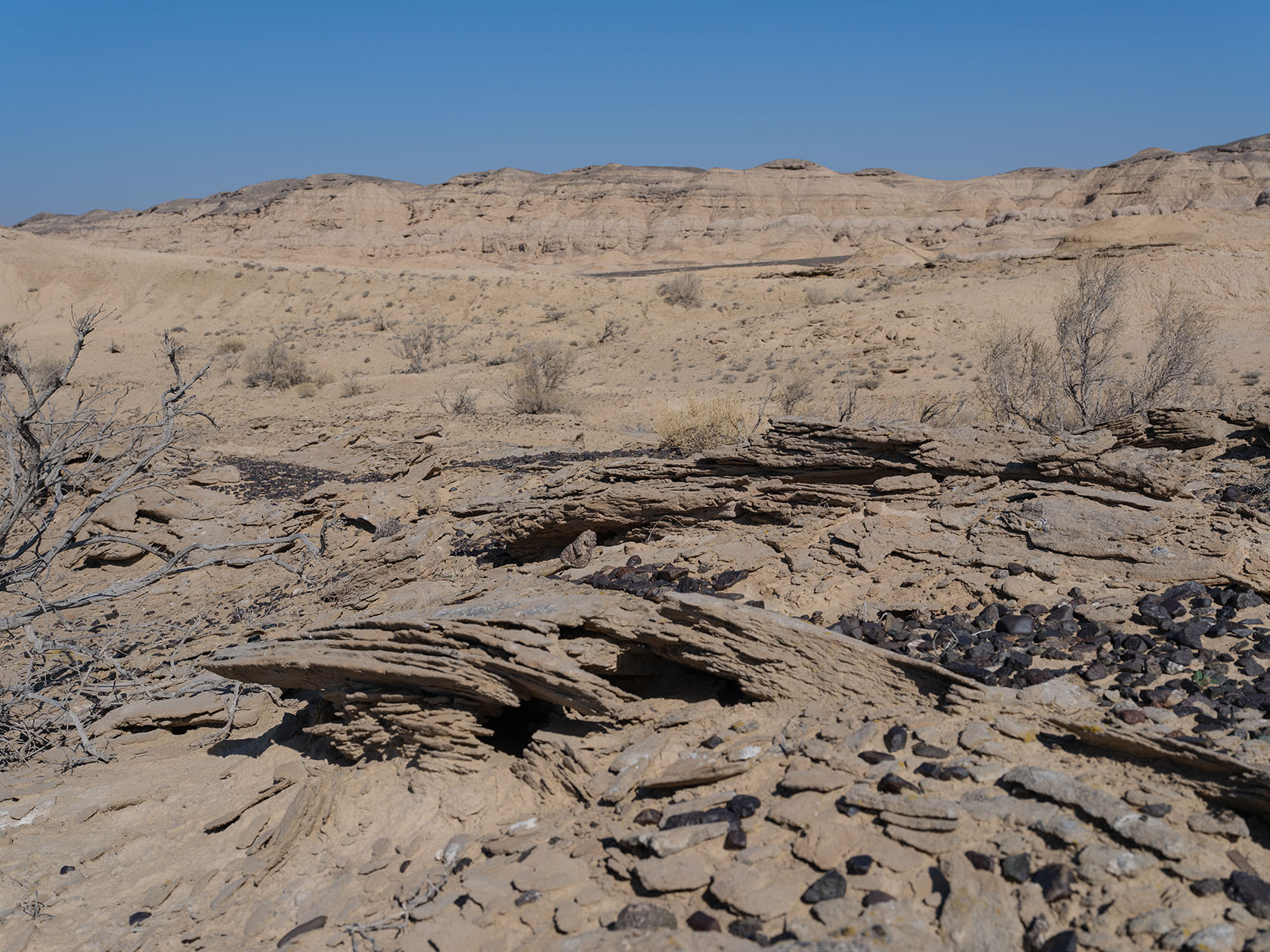 Сарымсакты, image of landscape/habitat.