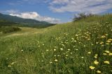 Image of landscape