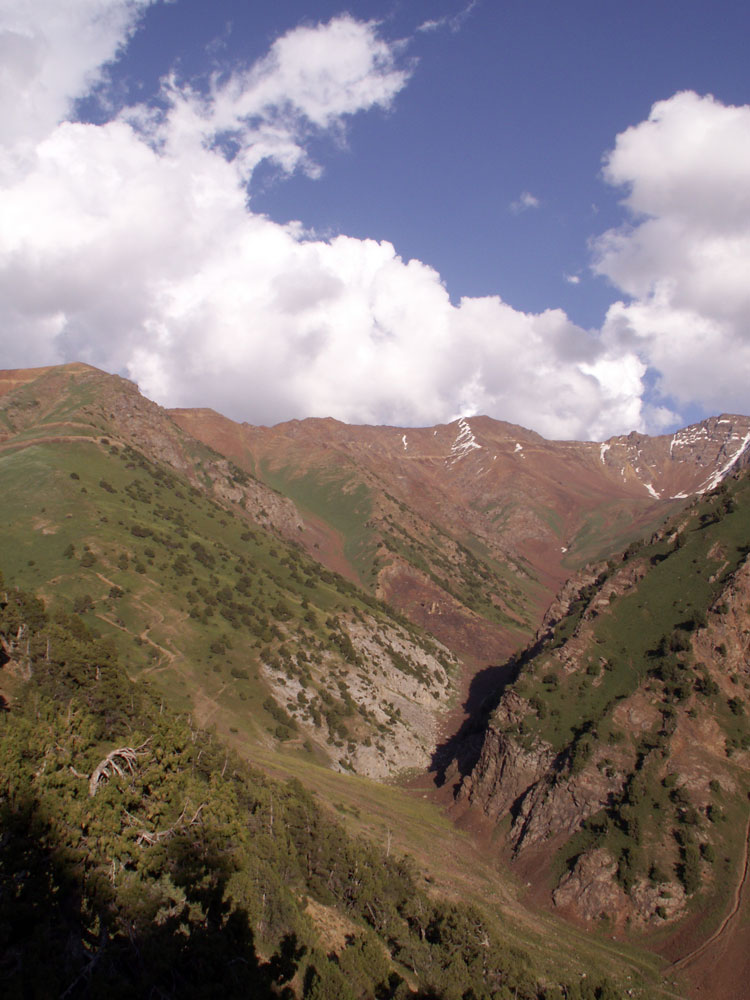 Аустан, image of landscape/habitat.
