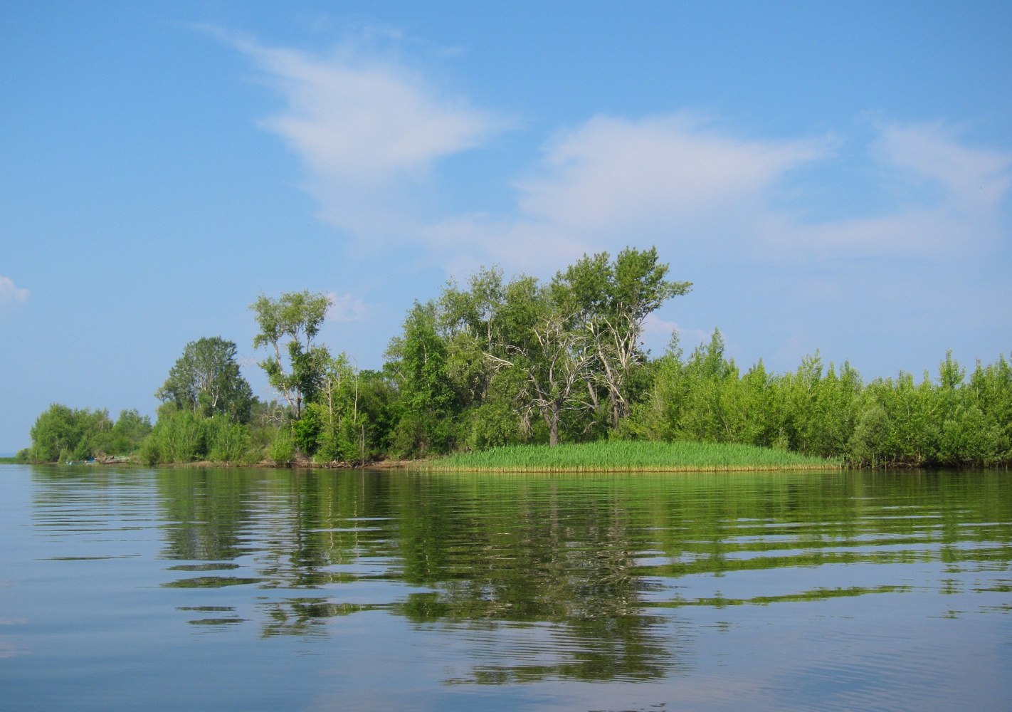 Речное, image of landscape/habitat.