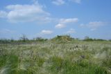 Image of landscape
