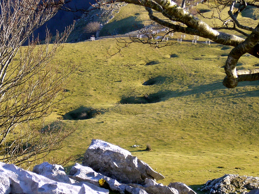 Арратия, image of landscape/habitat.