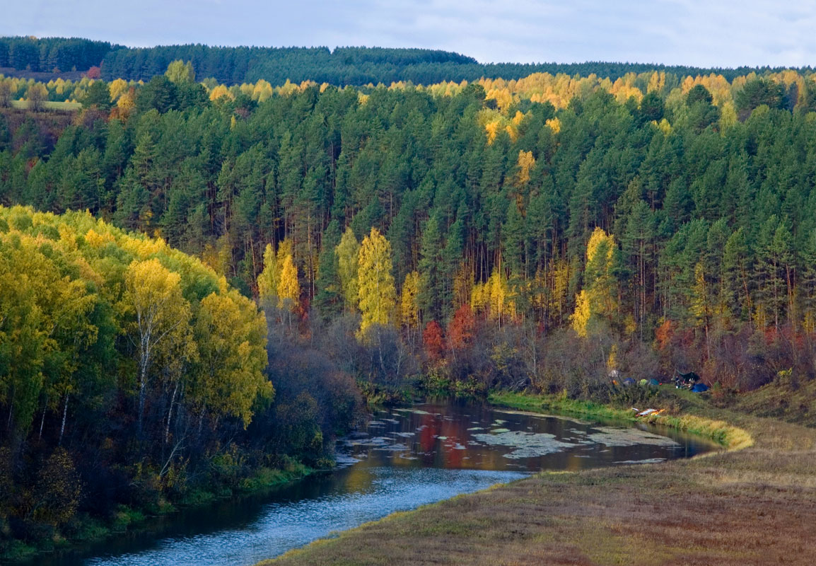 Окрестности деревни Комарово, image of landscape/habitat.