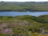 Image of landscape