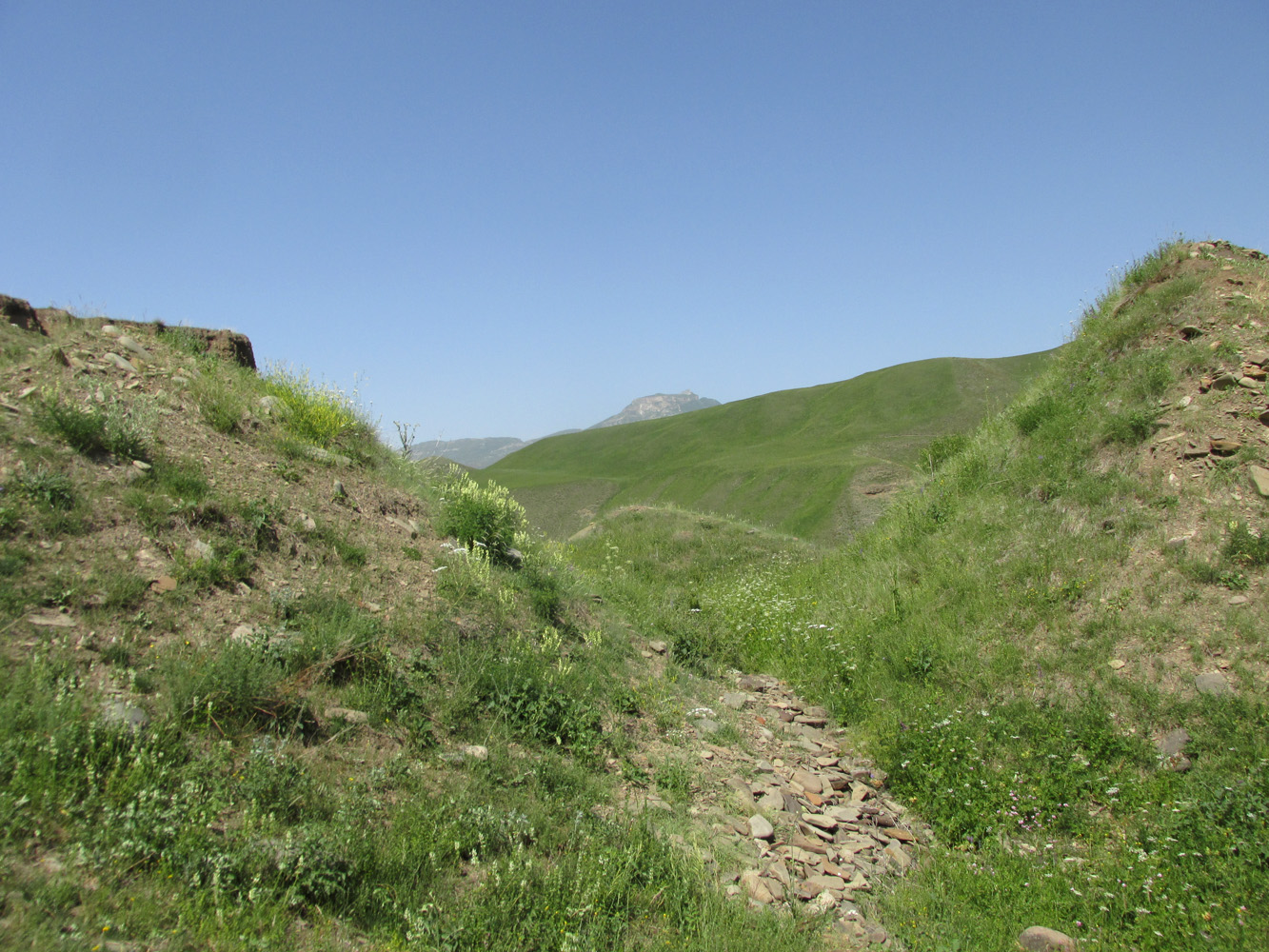Окрестности села Шара, image of landscape/habitat.