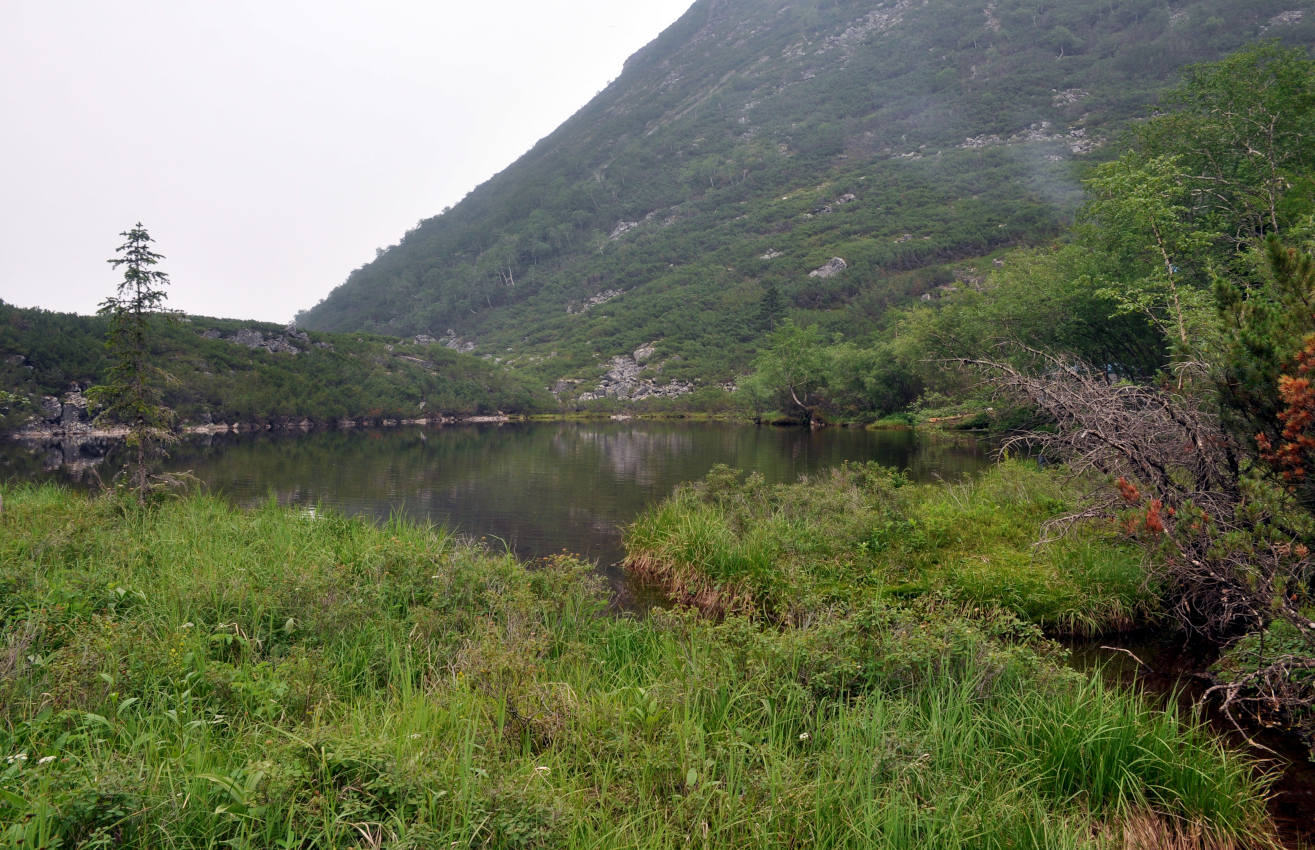 Озеро Тюленье, изображение ландшафта.