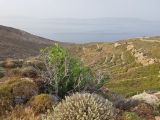 Image of landscape