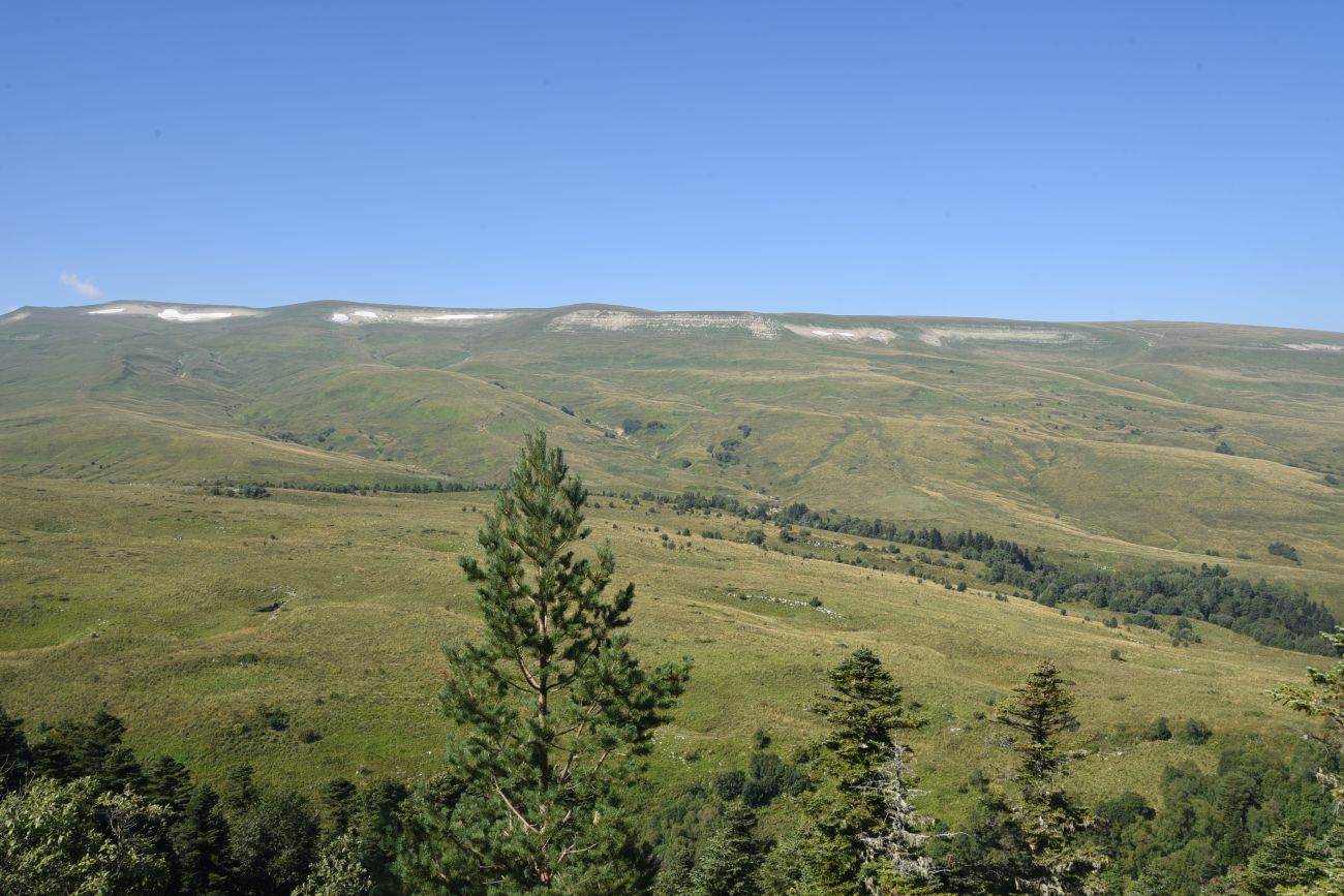 Окрестности ручья Молочка, image of landscape/habitat.