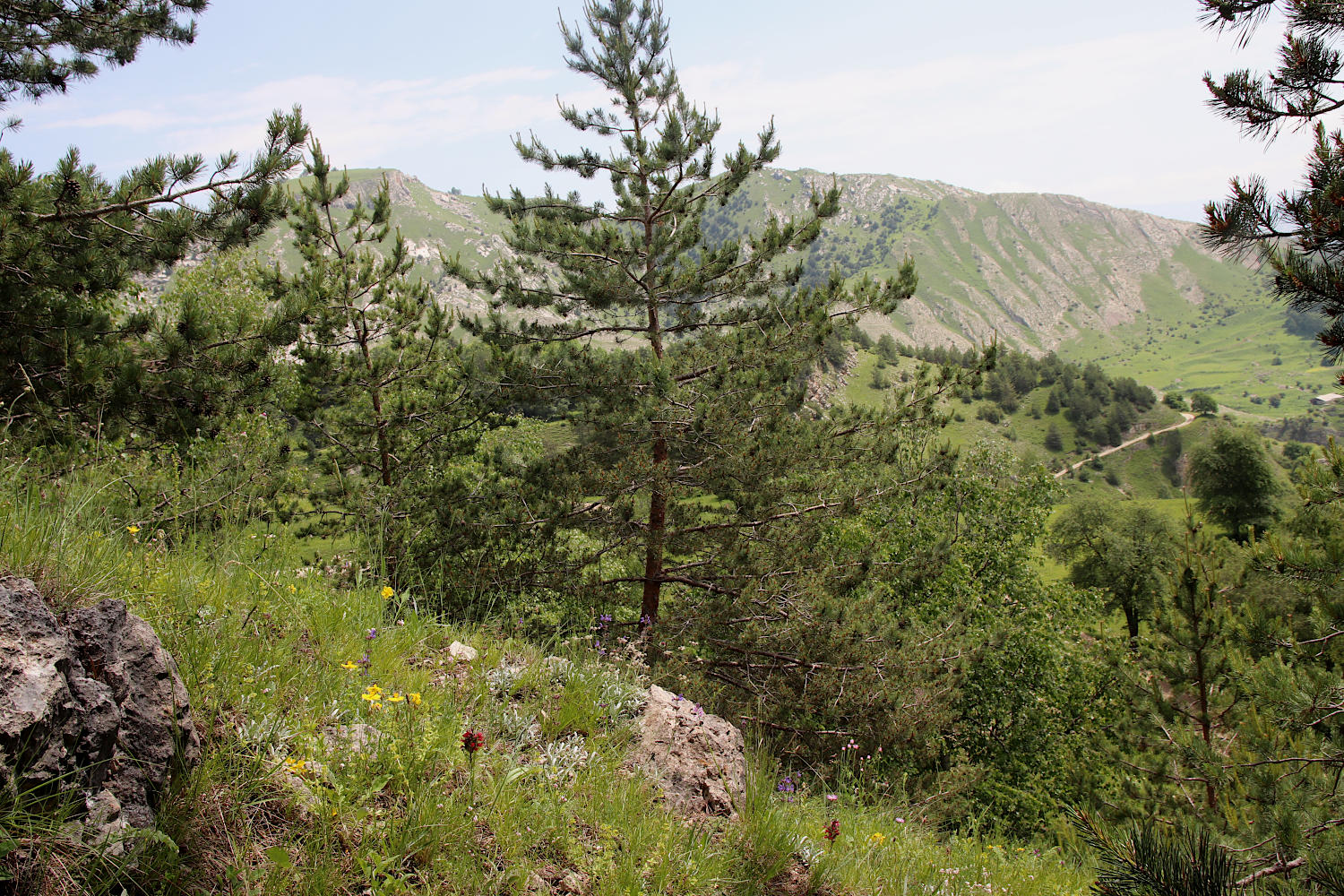 Природный парк "Верхний Гуниб", image of landscape/habitat.