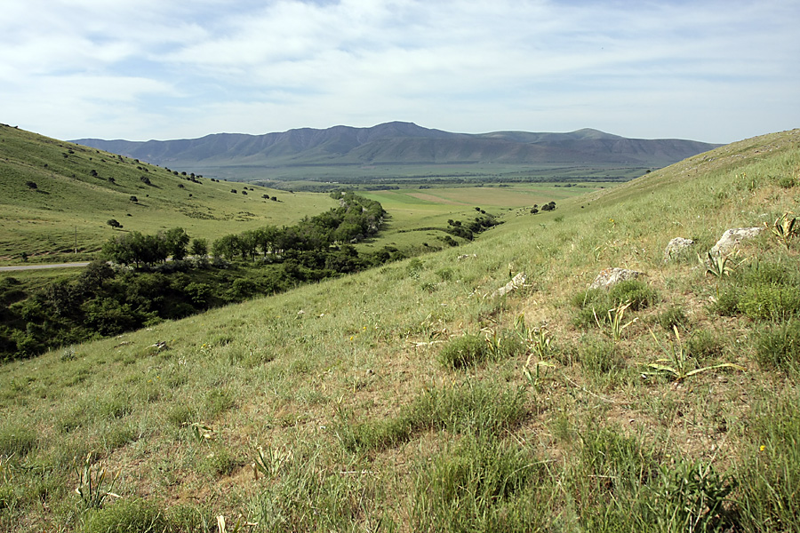 Вершина 797.3, image of landscape/habitat.