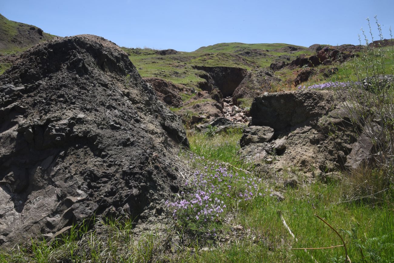 Урочище Ноев Ковчег, image of landscape/habitat.