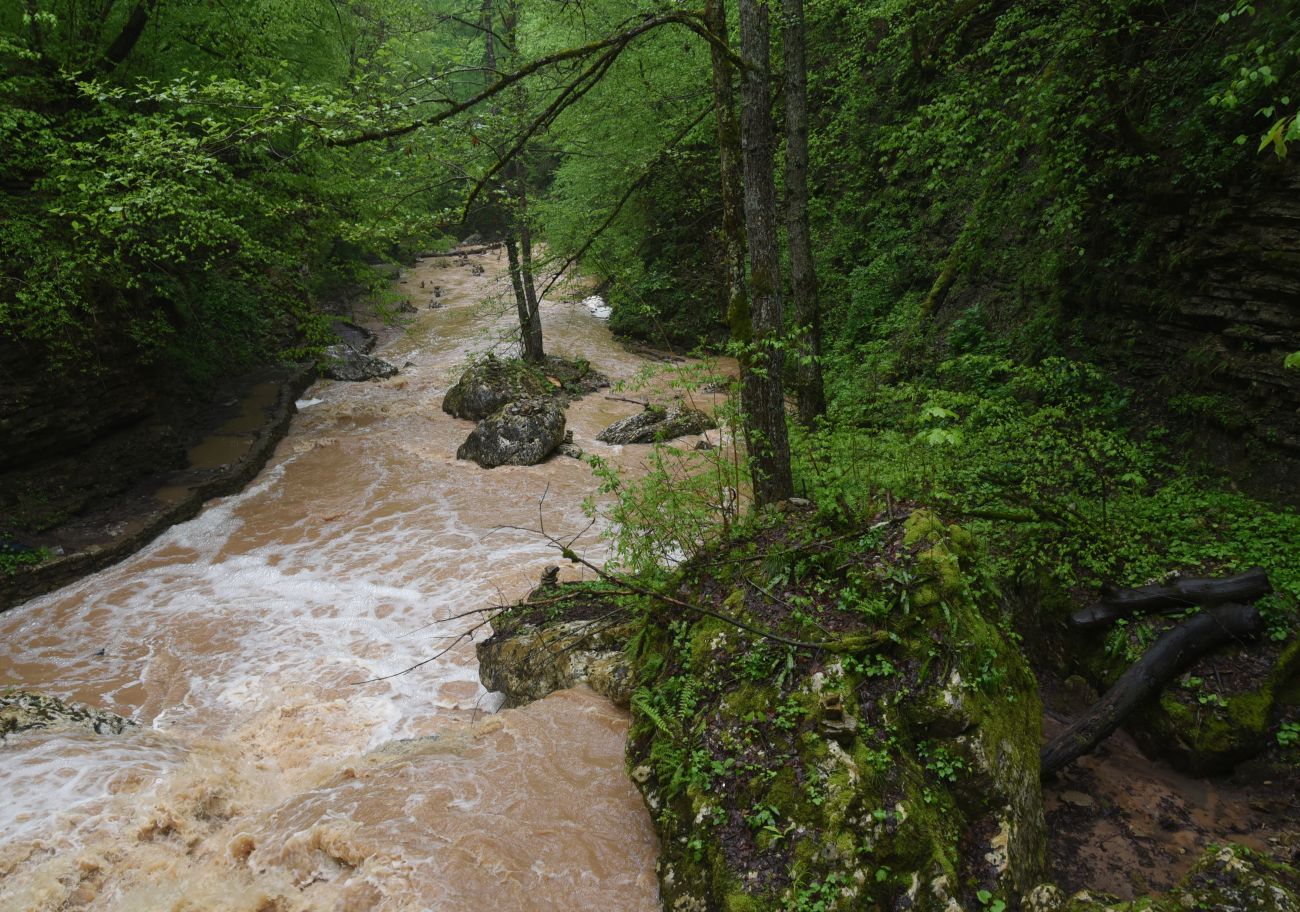 Водопад Шум, image of landscape/habitat.
