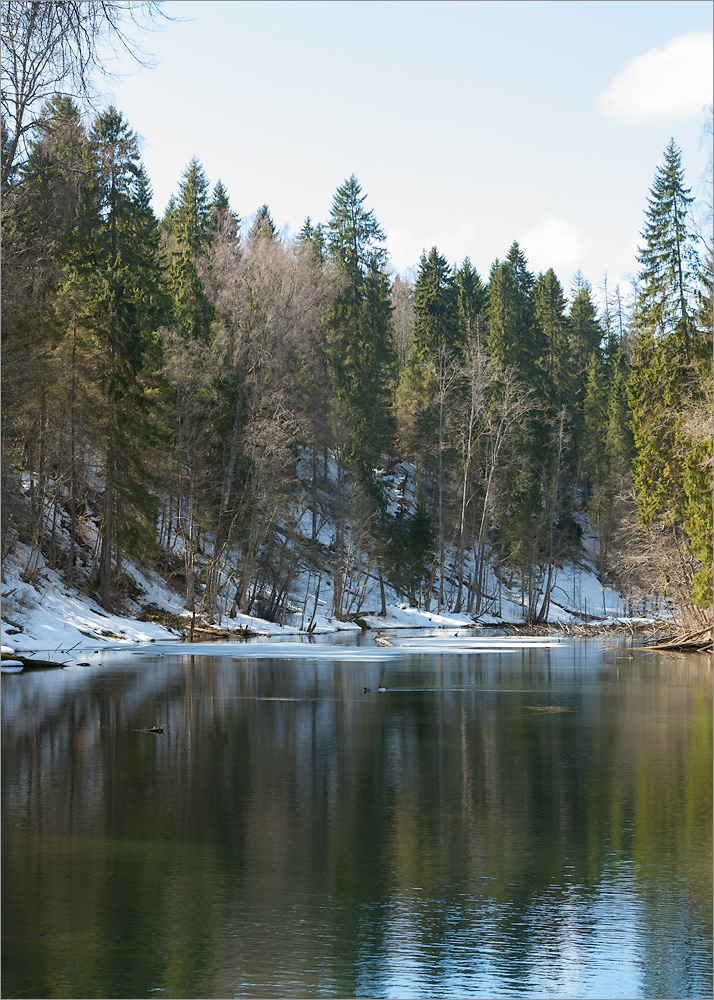 Лопухинка, image of landscape/habitat.