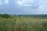 Image of landscape
