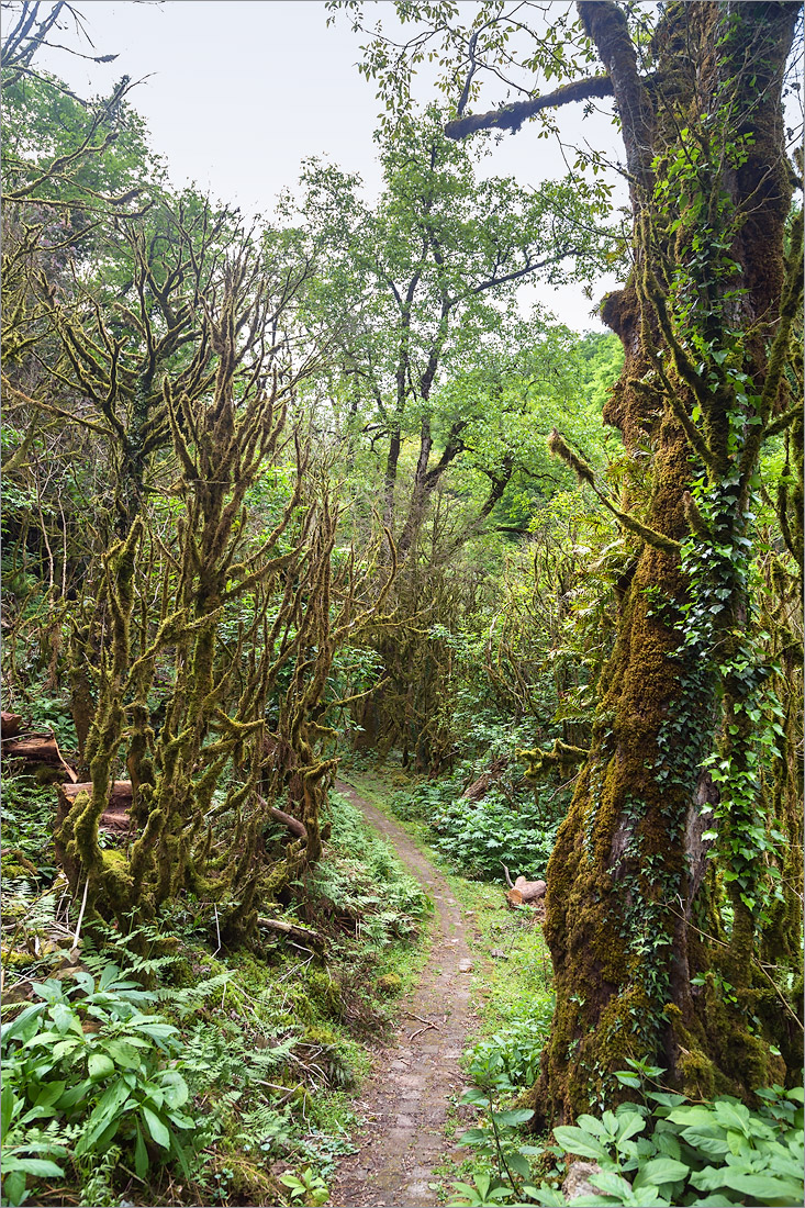 Мирвети, image of landscape/habitat.