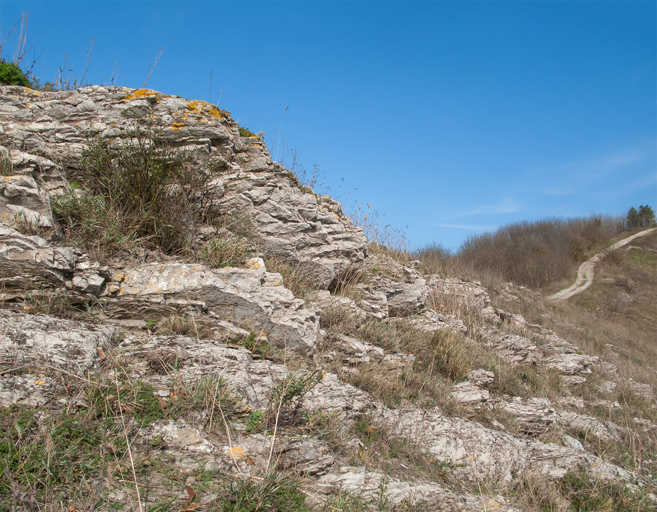 Перевал Маркотх, image of landscape/habitat.