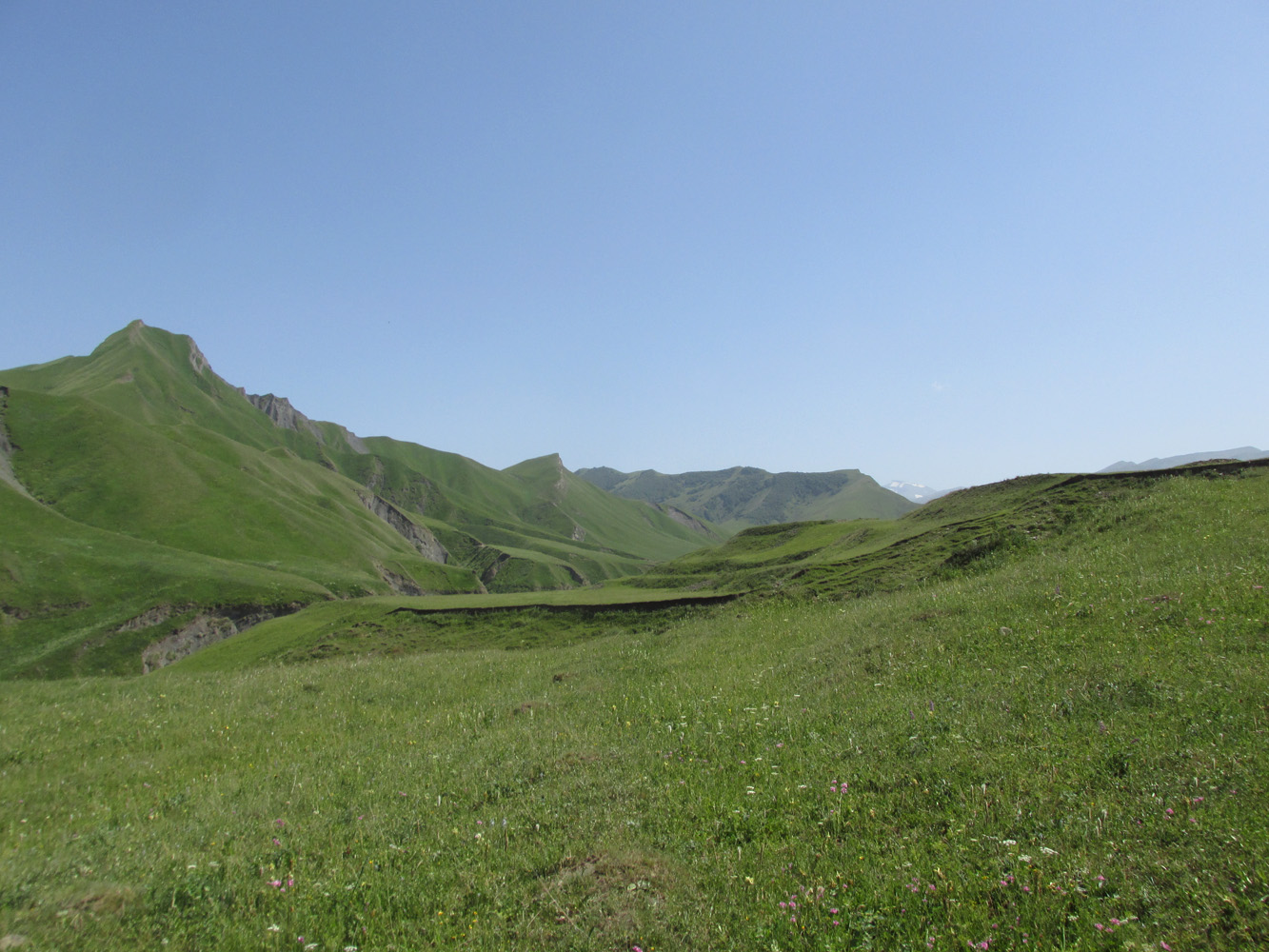 Окрестности села Шара, image of landscape/habitat.