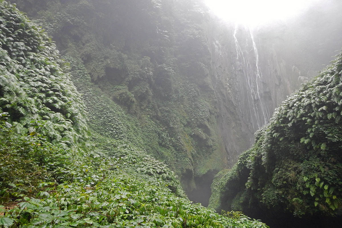 Ущелье Tonglin Gorge, image of landscape/habitat.
