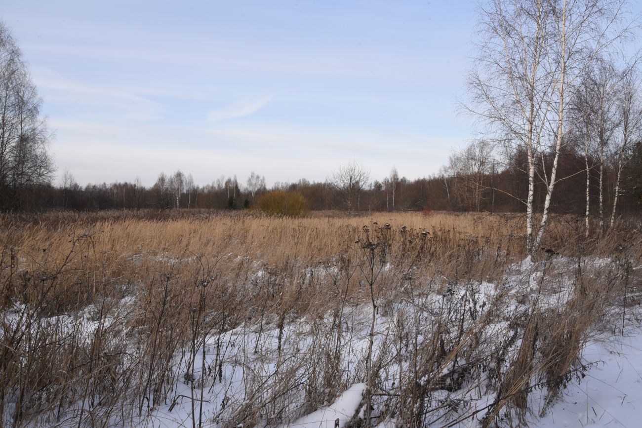 Окрестности деревни Сатино, image of landscape/habitat.