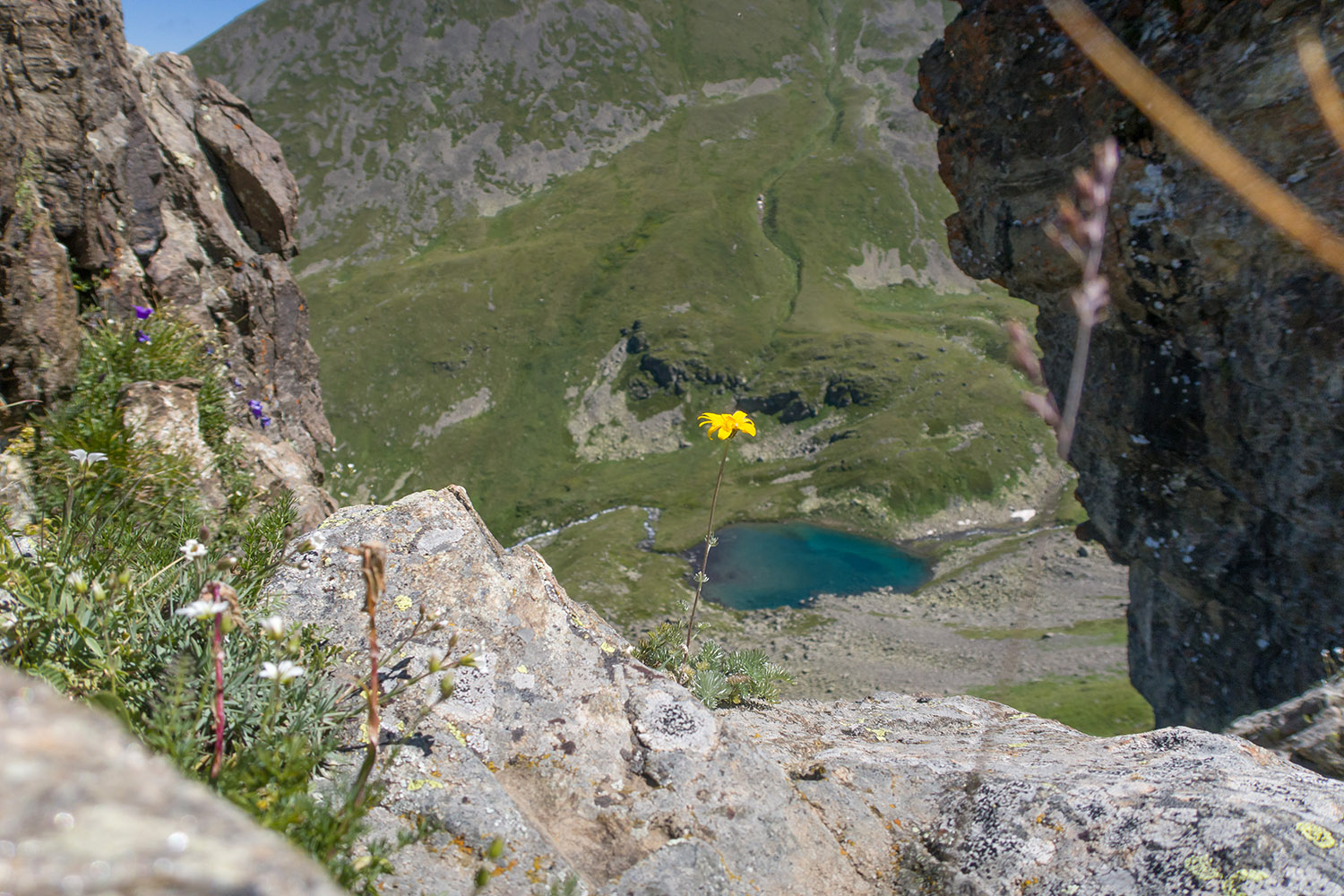 Долина Тихого ручья, image of landscape/habitat.