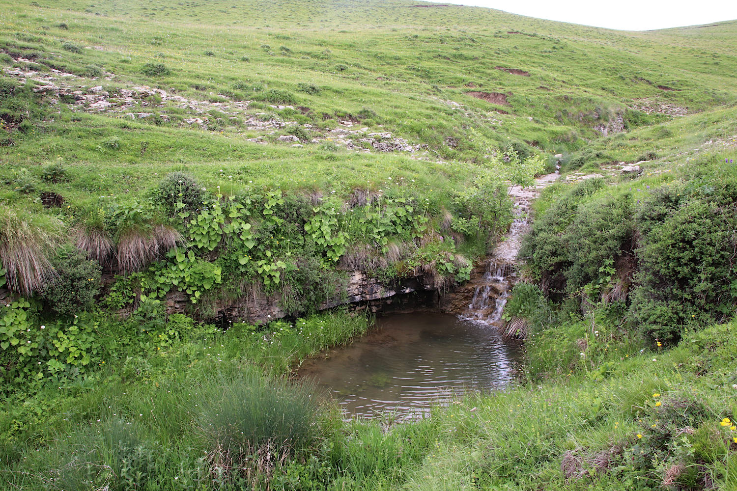 Природный парк "Верхний Гуниб", image of landscape/habitat.