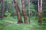 Окрестности Хрипани, изображение ландшафта.